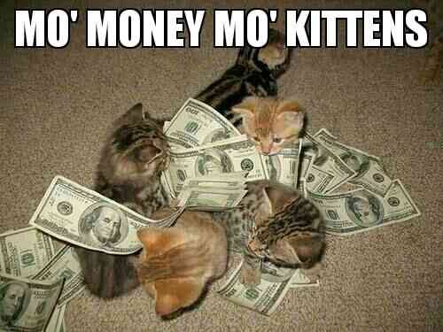 Coloque algum dinheiro no gatinho com Cats and Cash!